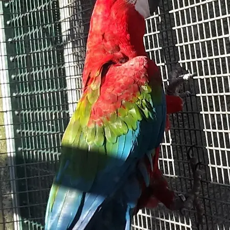 Ibis Budget Les Chaumes