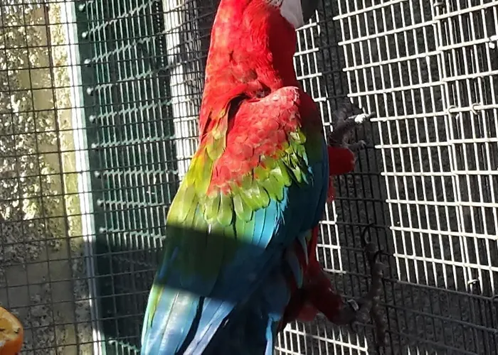 Ibis Budget Les Chaumes